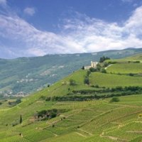 M. CHAPOUTIER - View over vineyards - Wine Paths